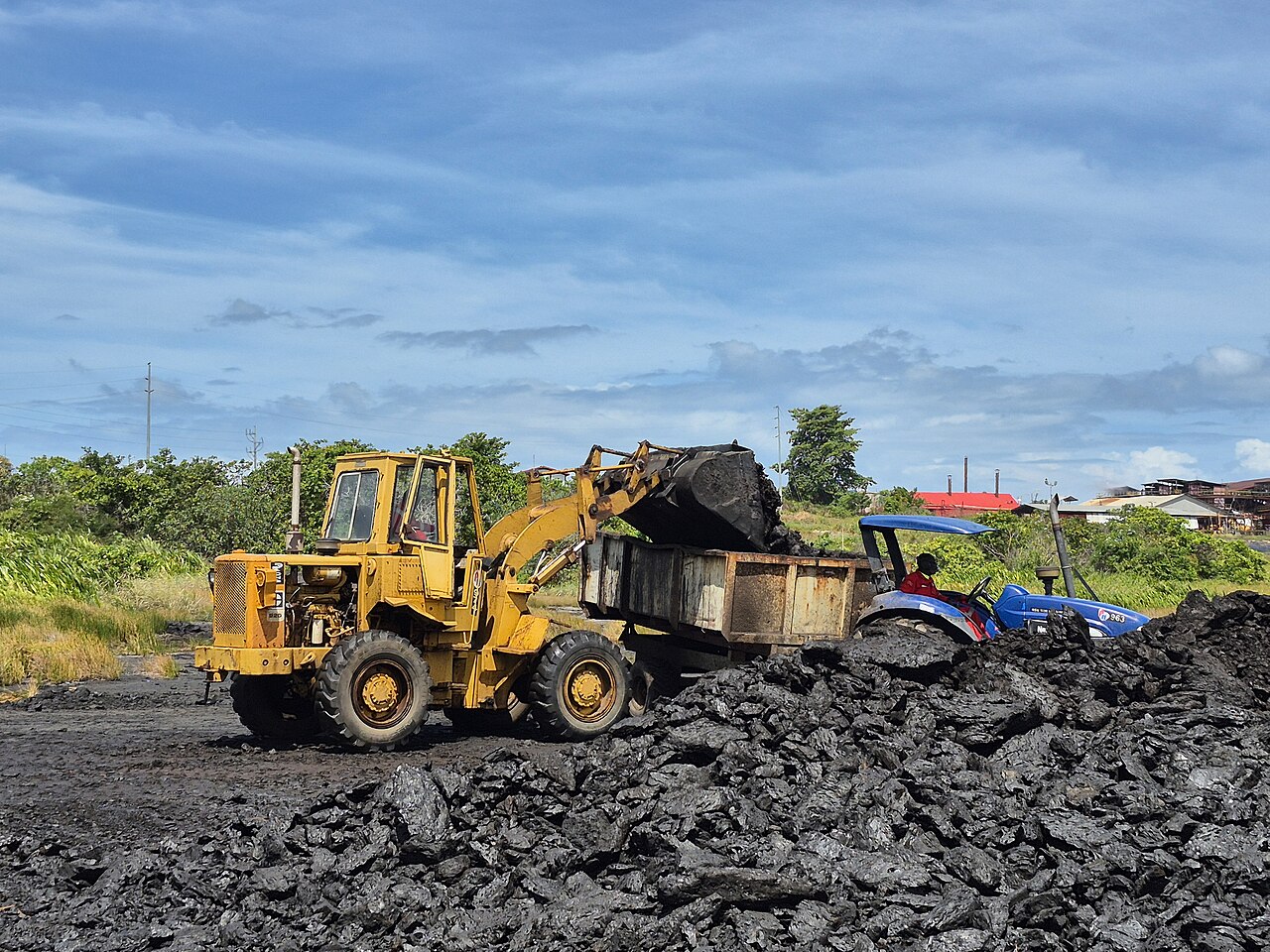 Natural bitumen at Pitch Lake, Trinidad and Tobago